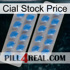 Cial Stock Price 23